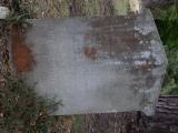 image of grave number 925675